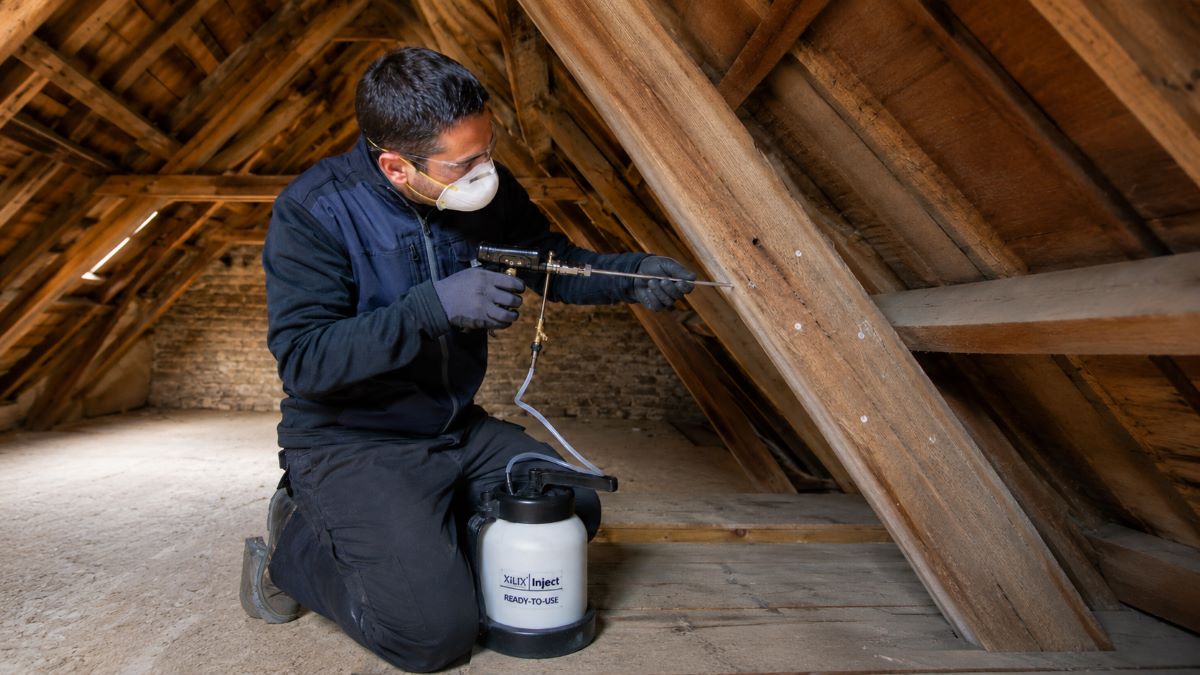 Traitement de charpente : comment protéger le bois durablement ?