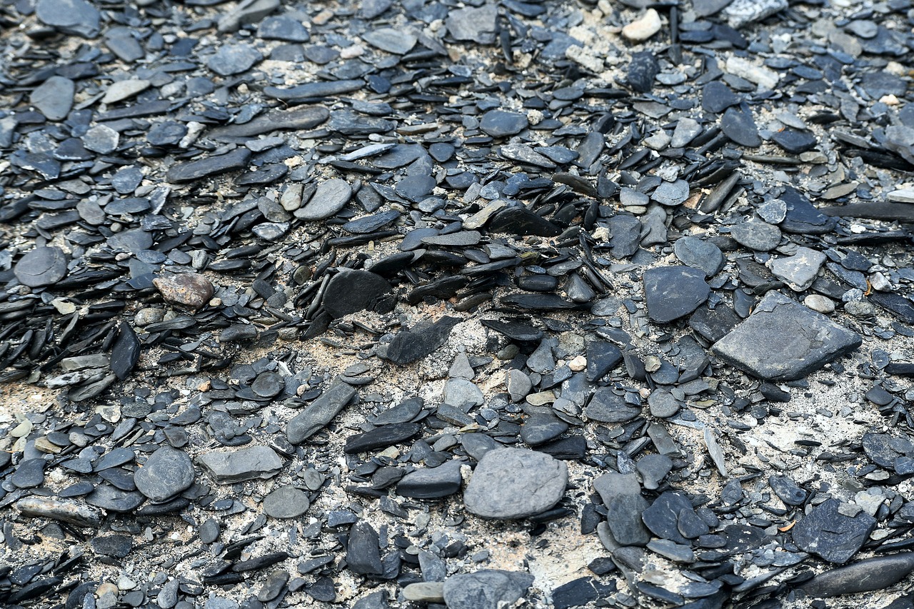 schiste