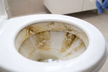 cuvette toilette entartré